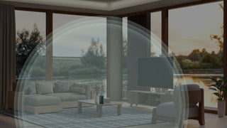 emGuarde EMF Radiation Harmonizer