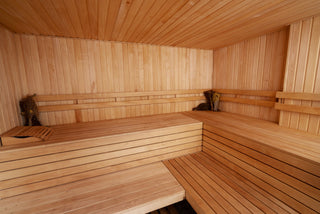 Are Saunas Good for Detoxing the Body?