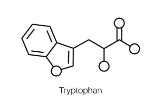 The Powerful Benefits of L-Tryptophan for Sleep, Mood and Recovery