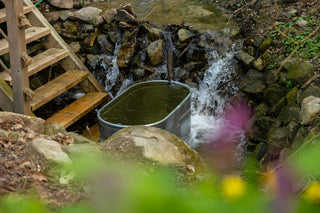 How Effective Are Ice Baths and Cold Plunges at Reducing Muscle Soreness and Inflammation?