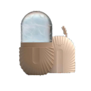 SPEAE Ice Facial Roller