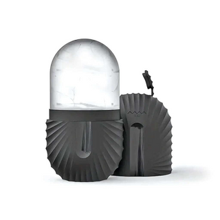 SPEAE Ice Facial Roller